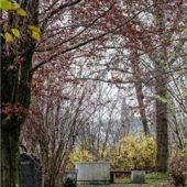 Friedhof bekommt Rosengarten