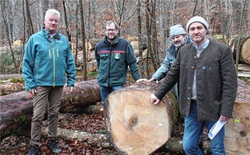 Robert Bocksberger (von links), Betriebsleiter Forstbetrieb Landsberg, BaySF, Christian Webert, Behördenleiter AELF Holzkirchen, Peter Melf, Platzwart/Revierleiter AELF Holzkirchen, sowie Alex Mayr, Vorsitzender der WBV Holzkirchen.Fotos Waldbesitzervereinigung holzkirchen