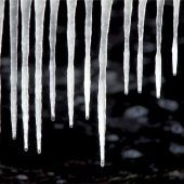 Ab 32 Grad Körpertemperatur wird‘s kritisch