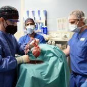 Münchner Chirurgen planen Transplantation