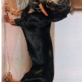 First Dog Beppi: Die Regentin im Nymphenburger Schloss