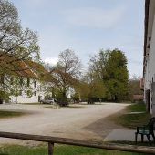 Tierpfleger auf Staatsgut von kalbender Kuh getötet