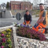 Blumen für den Kreisverkehr