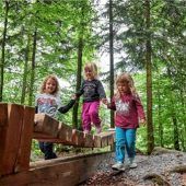 Wanderglück in Bodenmais