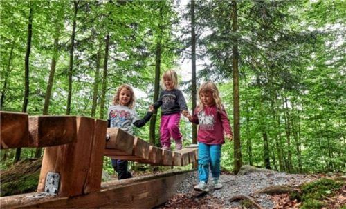 Auch die Kleinsten wandern in und um Bodenmais mit. Foto Marco Felgenhauer/Woidlife Photography
