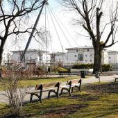 Neue Bäume für Kolbermoor