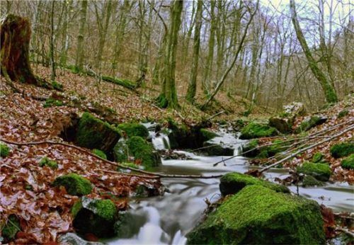 Der Unterhalt der Gewässer wurde bisher eher nebenbei besorgt. Nun soll es einen grundsätzlichen Plan geben.Foto dpa