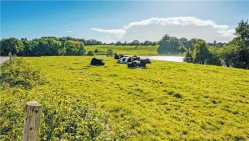 Die Probstei hat sich ihre Ursprünglichkeit bewahrt. Foto djd/Probstei Tourismus Marketing/Oliver Staack