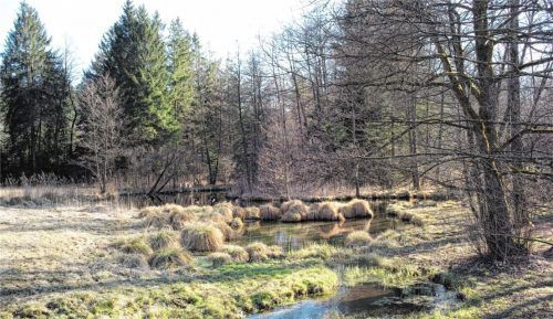 Die Urschlach-Quelle bleibt weiterhin unberührt. Obwohl der Krieg in der Ukraine zeigt, wie wichtig eine unabhängige Energieversorgung ist, bleibt Wintershall Dea bei ihrem Nein zur Erdgasbohrung auf dem Irlacher-Feld. Foto Aicher