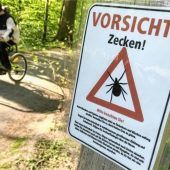 Gefährliche Blutsauger sind schon unterwegs