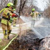 Grünstreifen an den Gleisen in Flammen