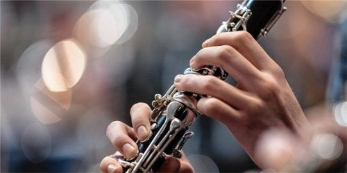 Ob Blas- oder Streichinstrumente, in Brannenburg gibt es ein vielfältiges Angebot der Musikschule. Foto dpa