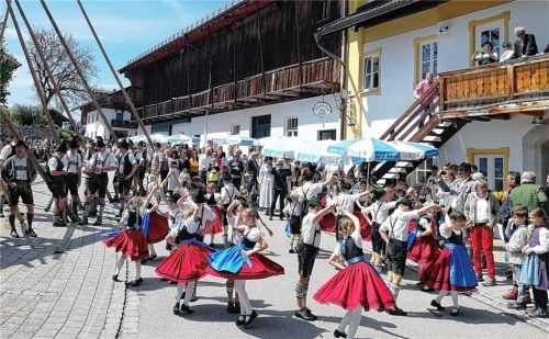 Starke Männer sind am Werk: das Maibaumaufstellen in Wildenwart im Jahr 2019 vor der Schlosswirtschaft. Fotos Rehberg