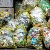 Erneut Holsystem ins Spiel gebracht