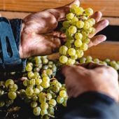Vino Santo: Heiliger Wein aus dem Tal der Seen