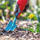 Er rettet Gartenbauverein vor dem Aus