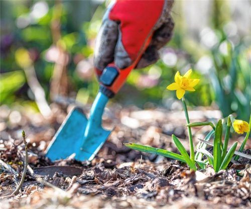 Werkeln im Grünen: Dieses Hobby haben alle rund 1000 Mitglieder des Obst- und Gartenbauvereins gemeinsam. Foto dpa
