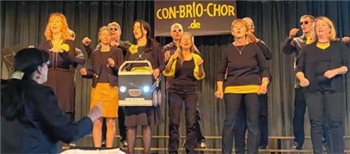 13 Sängerinnen und Sänger präsentierten unter Leitung von Monika Reif (vorne, links) ein buntes Programm.Foto  re