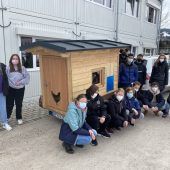 Unterrichtsthema, Eierlieferant und Lehrer fürs Leben