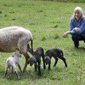 Vierlinge als Osterüberraschung