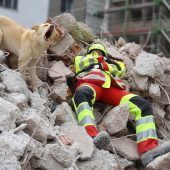 Training in Trümmern