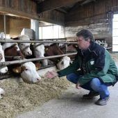 In 35 Tagen zum Wiesn-Hendl