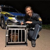 Mit Polizeiauto in die Freiheit