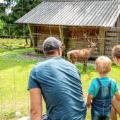 Auszeit im Steinwald
