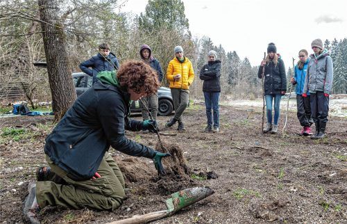 Anna Hunklinger von der Schutzgemeinschaft Deutscher Wald erklärt den jungen Leuten, wie ein Baum so gepflanzt wird, dass er auch tatsächlich anwächst. Fotos Thomae