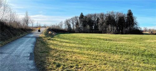 Auf dieser Wiese in der Aisingerwies sollen Blumen und Obstbäume für Insekten gepflanzt werden. Foto Stadt Rosenheim