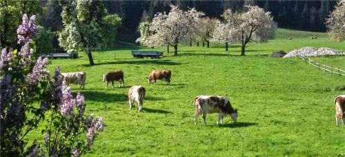 Bad Feilnbach verspricht „Südtiroler Flair im Bayerischen Meran“.Foto Höfer