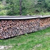 Holz als erneuerbare Energie