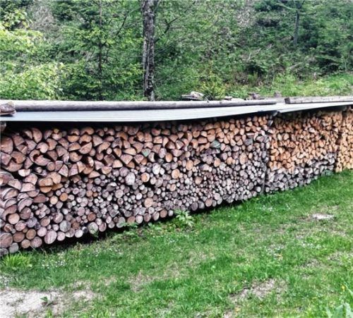 Brennholz fällt bei der Waldpflege oder Holzernte an und ist für andere Verwendungen nicht geeignet. Foto HKI