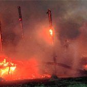 Brand zerstört Maschinenhalle