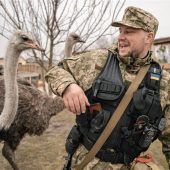 Schmerzhafte Entscheidungen stehen an