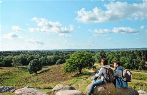 Im Naturpark Aukrug kommen Pflanzen- und auch Tierfreunde auf ihre Kosten. Foto djd/Schleswig-Holstein Binnenland Tourismus/photocompany
