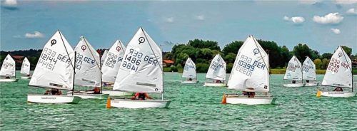 In diesem Jahr starten zuerst Optis beim Seebrucker RV und Solings beim Chiemsee YC.Foto Niessen