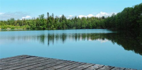 Je wärmer das Wasser im Tinninger See wird, desto höher ist die Phosphorbelastung. Foto Kirchner