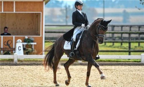 Lena Paul und ihr Pferd Chopard haben die neue Saison mit zwei S-Siegen und mehreren vorderen Platzierungen begonnen. Foto Paul