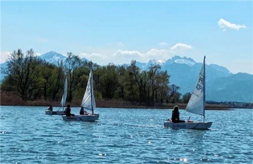 Optisegler vom SCCF vor der eindrucksvollen Kampenwand auf dem Chiemsee.Foto Geisler