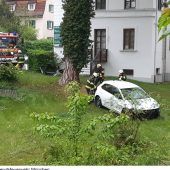 Insektenstich setzt Fahrer außer Gefecht