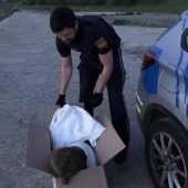 Tierischer „Einbruch“ bei der Polizei