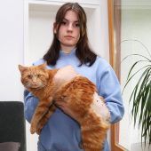 Kater wurde der Schwanz ausgerissen