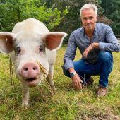 Schwein gehabt