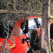 Auto rauscht in Tanne und wird von dem meterhohen Baum begraben: Insassen nur leicht verletzt