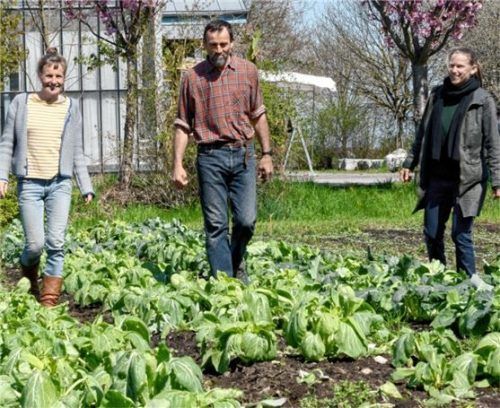 Das Vorstandsteam ist vollständig: (von links) Mareike Melain, Hubert Mitterer und Carla Veith.Foto Ammelburger