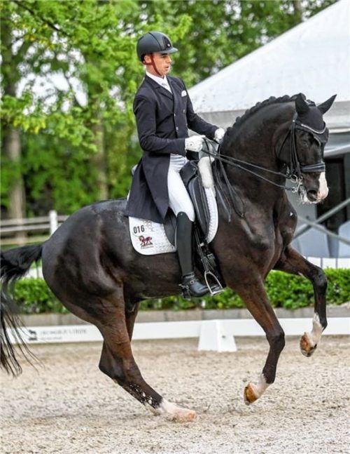 Der Aubenhausener Benjamin Werndl gewann beim Weltcup-Auftakt mit Daily Mirror. Foto Eqwo/Petra Kerschbaum