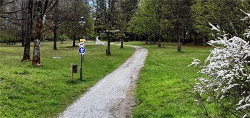 Der geplante Mehrgenerationenpark könnte auf dem Gelände des Naturparks Kohlstatt entstehen. Auch eine Zusammenlegung mit dem geplanten Sport-Parkour mit Kinderspielplatz wird diskutiert. Foto Hoffmann