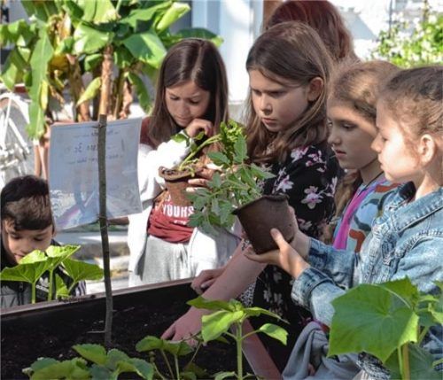 Die Schulkinder gestalten und bepflanzen mit großem Eifer die Hochbeete. Foto Schlecker