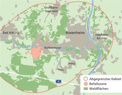 Die von der Landesanstalt für Landwirtschaft festgelegte Quarantäne-Zone bezüglich der Ausbreitung des Asiatischen Moschusbockkäfers. Klinger